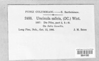 Image Associated With the Occurence